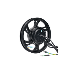 14 inch Electric Brushless Gearless Hub Drive Motor With Strong Climbing Ability