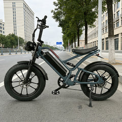 20 Inch Geared Wheel Hub Motor