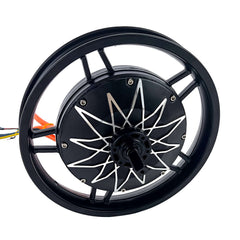 Electric Bike Rear Wheel Gearless Hub Motor