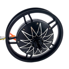 14 Inch Electric Bike Rear Wheel Gearless Hub Motor With Run-Flat Tire