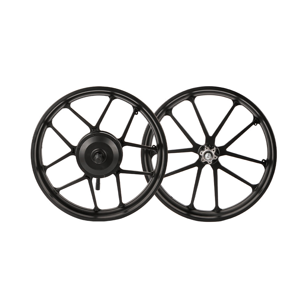 20 Inch Brushless Wheel Hub Motor Kit